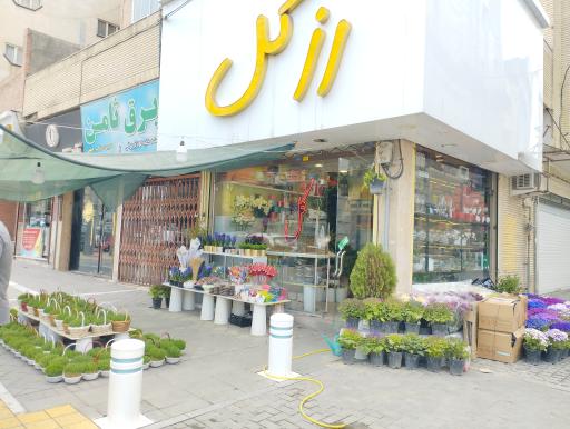 عکس گل فروشی رز گل