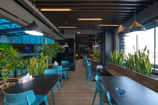 عکس فودهال نارسیس