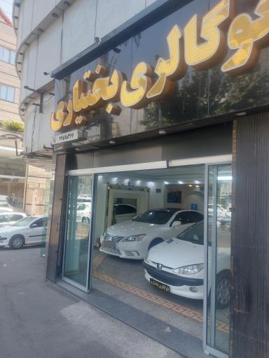 عکس اتو گالری بختیاری