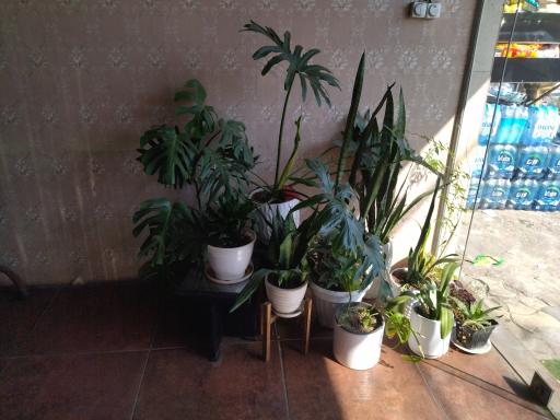 عکس کترینگ آشپزخانه میزبان