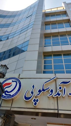 عکس آندوسکپی