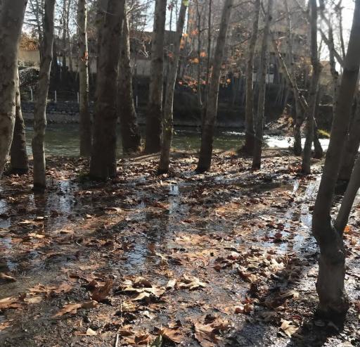 عکس رودخانه زاینده رود