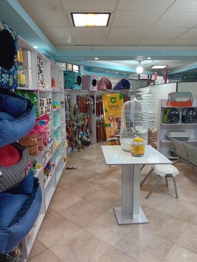 عکس کلینیک دامپزشکی آبان