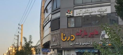 کلینیک دامپزشکی آبان