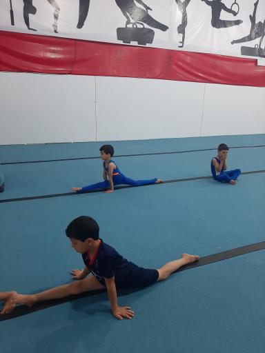 عکس خانه ژیمناستیک رفسنجان 