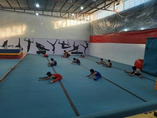 عکس خانه ژیمناستیک رفسنجان 