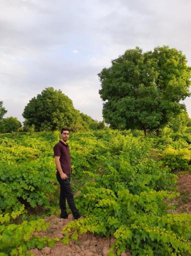 عکس قل علی