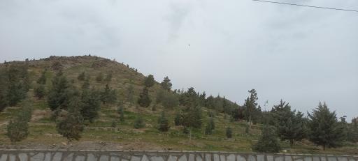 عکس بوستان گلاب