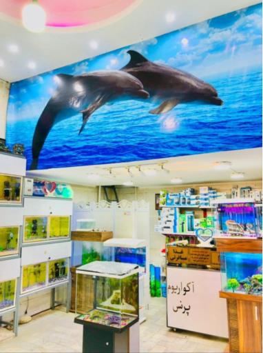 عکس آکواریوم پرنس