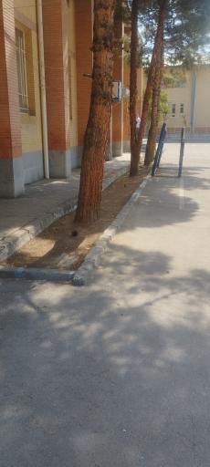 عکس دبستان دخترانه دولتی یاس نبی - الزهرا