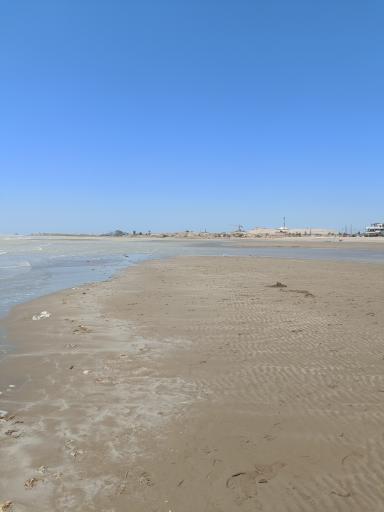 عکس ساحل بندرگاه بوشهر