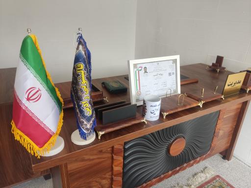 عکس قالیشویی رادین