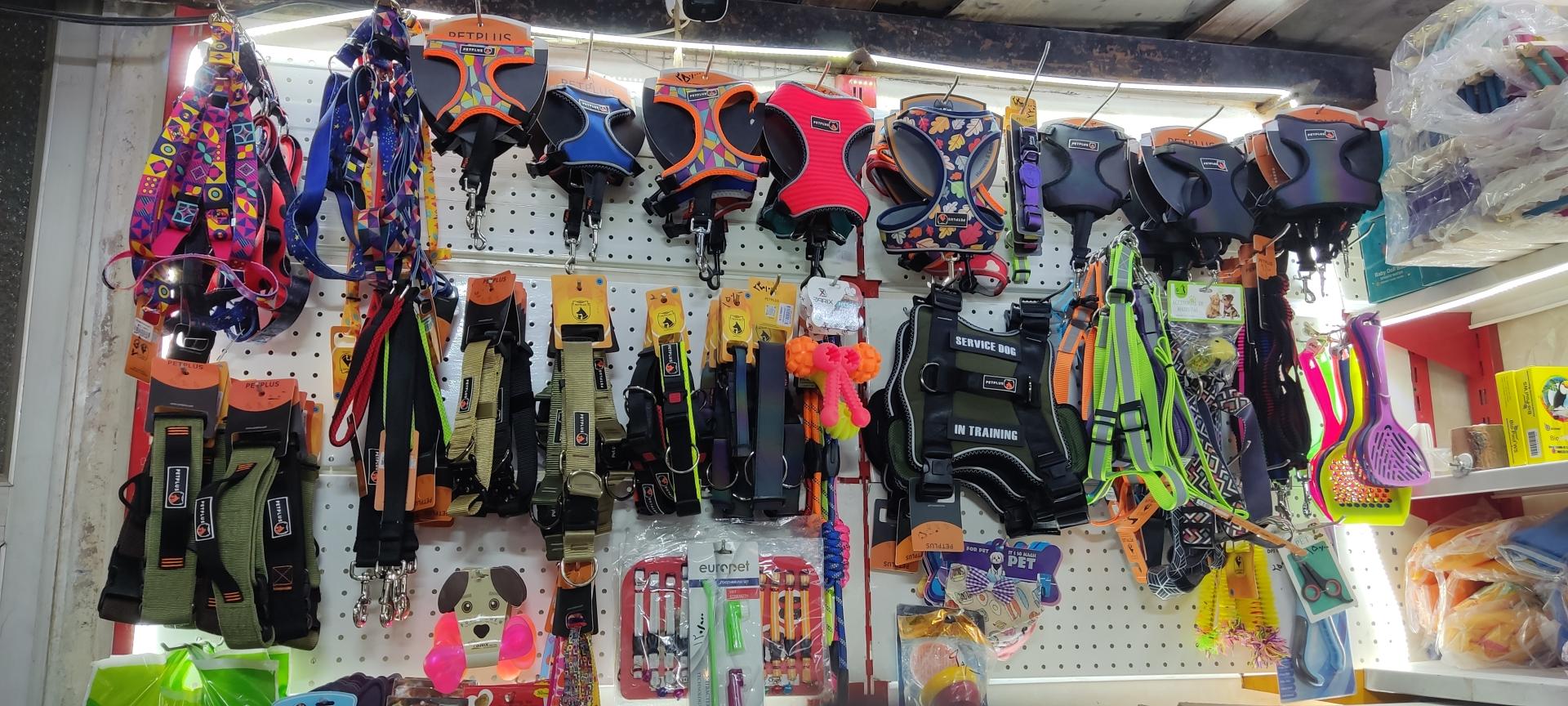 عکس پت شاپ وپرنده فروشی دکترپرنده