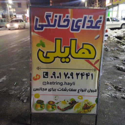 عکس غذای خانگی هایلی