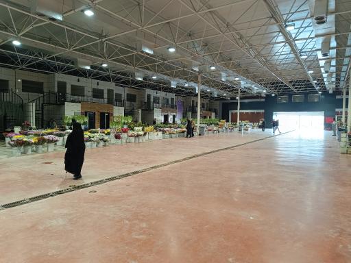 عکس باغ ارغوان