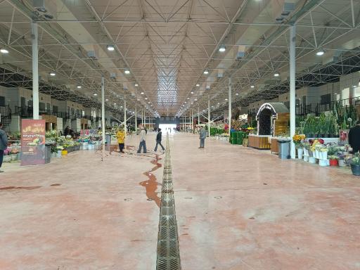 عکس باغ ارغوان