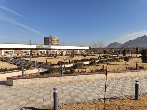 عکس باغ ارغوان