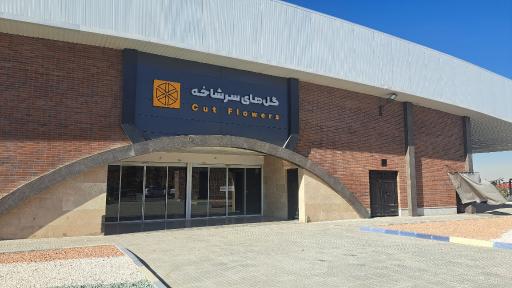 عکس باغ ارغوان