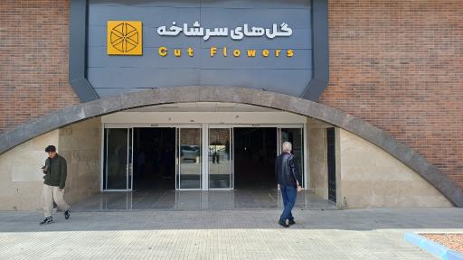 عکس باغ ارغوان