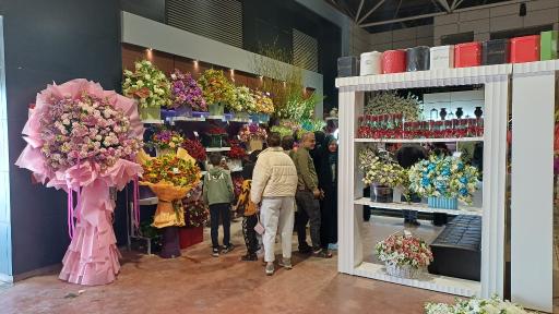 عکس باغ ارغوان