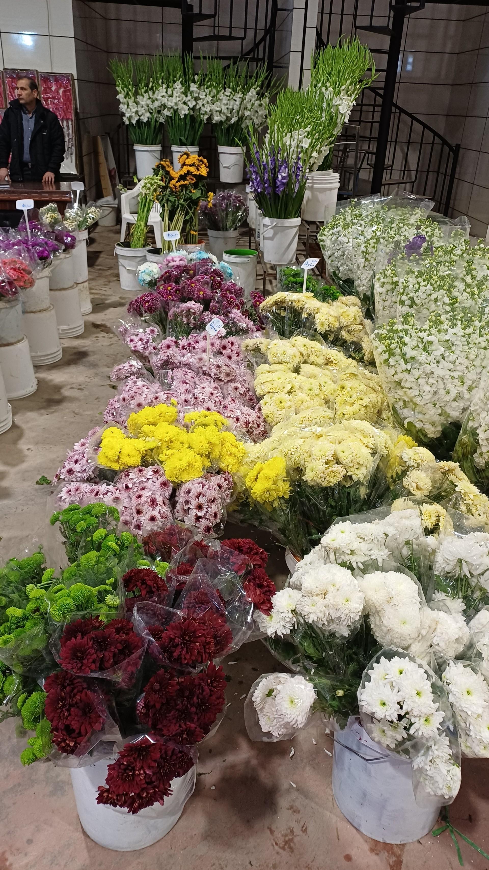 عکس باغ ارغوان