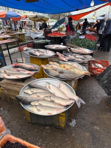 عکس سه شنبه بازار