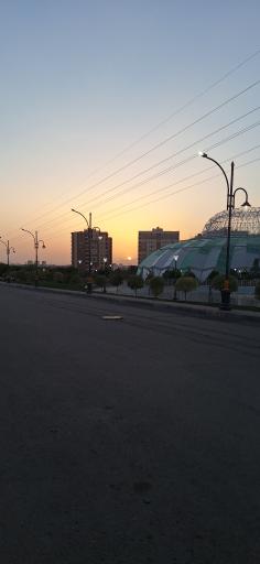 عکس باغ ارغوان
