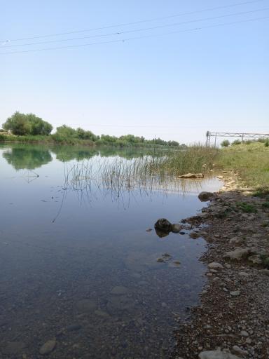 عکس پل قیصر امین پور