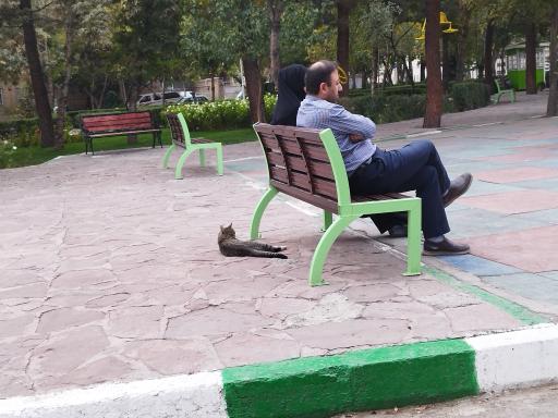 عکس بوستان گلاب