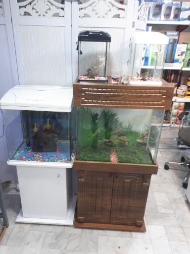 عکس آکواریوم پرنس