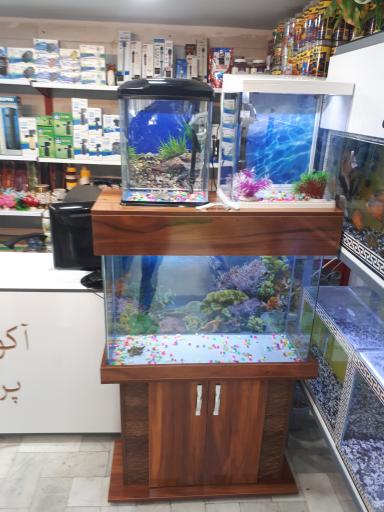 عکس آکواریوم پرنس