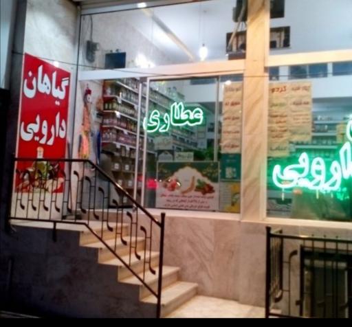گیاهان دارویی یاس 