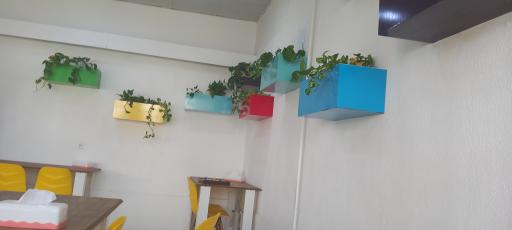 عکس پیتزا سپیدال