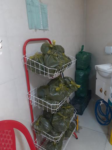 عکس مرغ و ماهی صالح