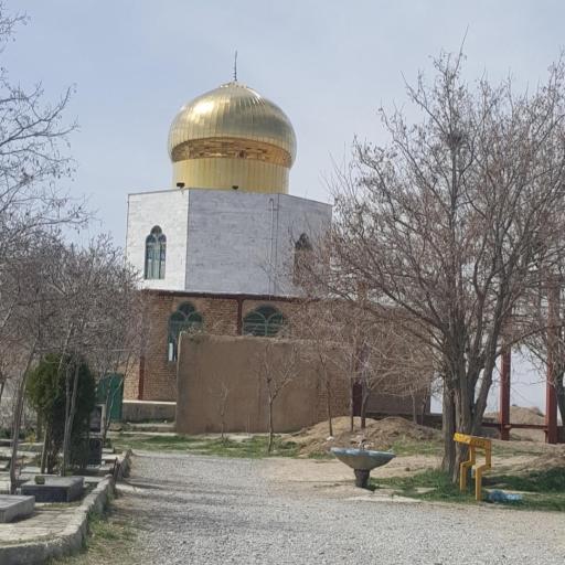 عکس امامزاده یحیی