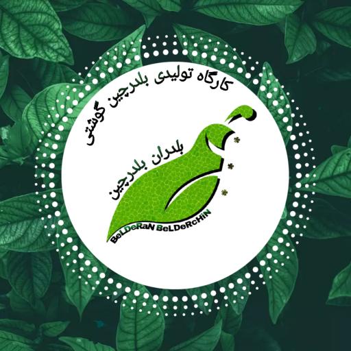 عکس بلدران بلدرچین