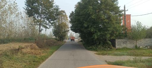 عکس کیشستان