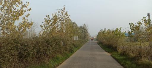 عکس کیشستان