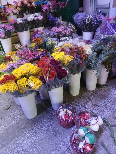 عکس گلفروش شهروند بهرود ذوالقدر