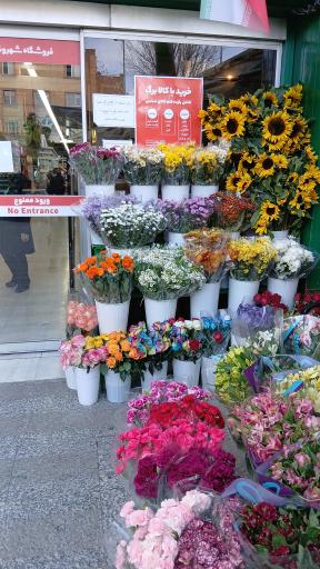 عکس گلفروش شهروند بهرود ذوالقدر