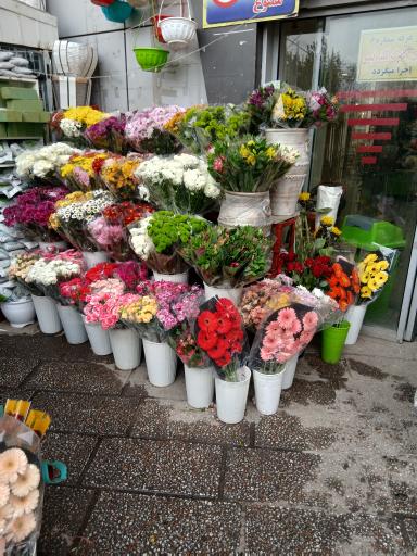 عکس گلفروش شهروند بهرود ذوالقدر
