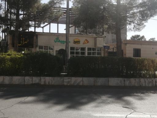 عکس پیتزا سپیدال