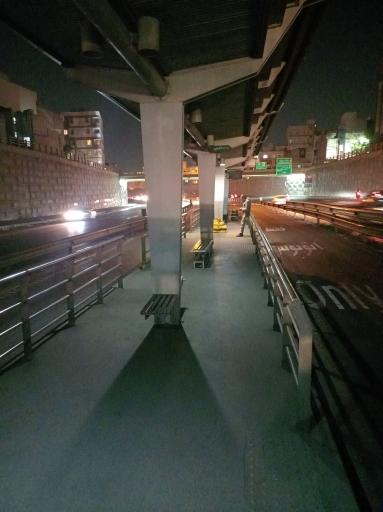 عکس اکبرنژاد