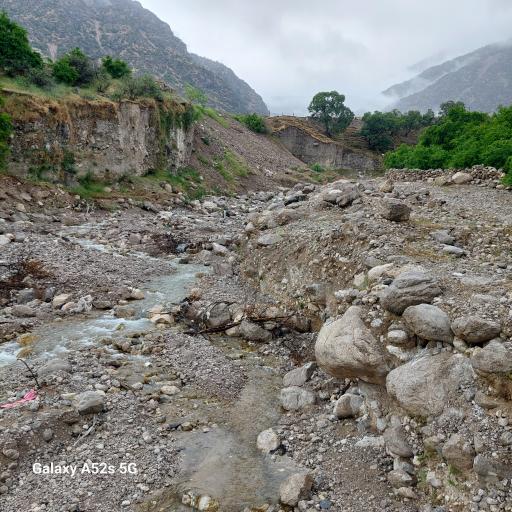 عکس بزرگ شیوند