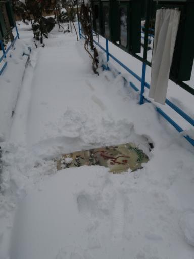 عکس آرامستان شهداء امامزاده محمد (ع)