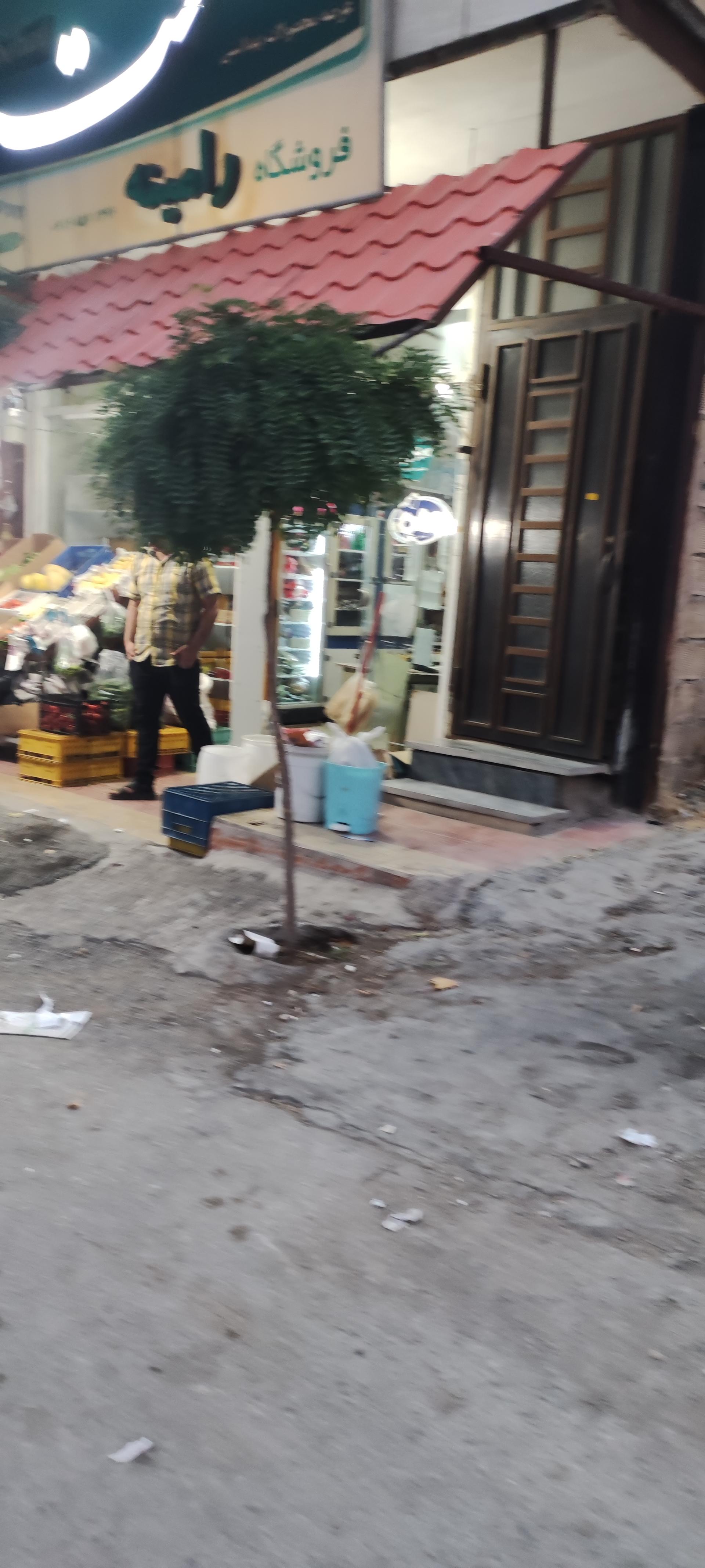 عکس سوپر رامینه