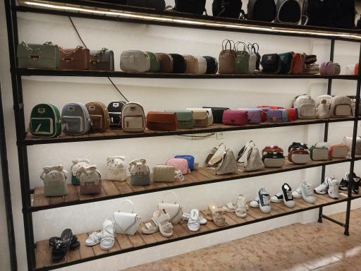 عکس کیف و کفش کاکتوس