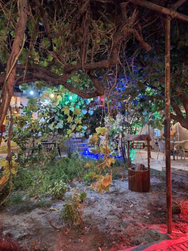 عکس کافه کتاب دیدار