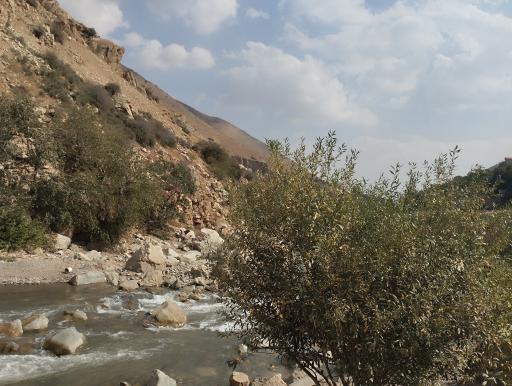 عکس رودخانه جاجرود