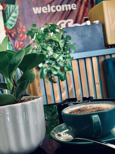 عکس کافه تایماز